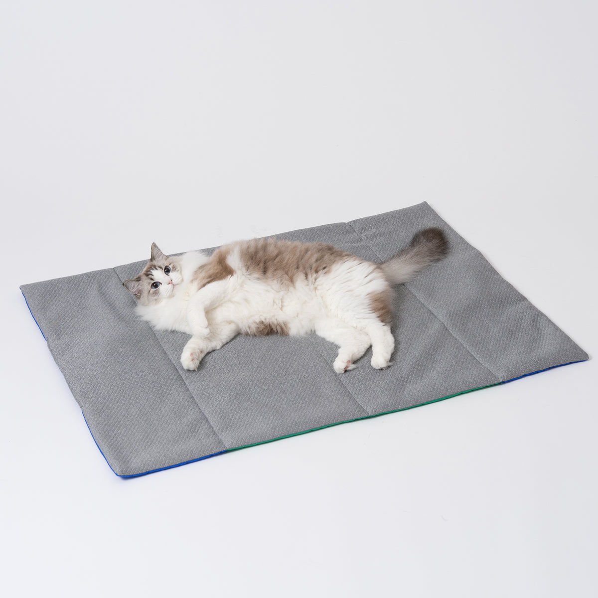 Foldable Two-Tone Picnic Mat – Green