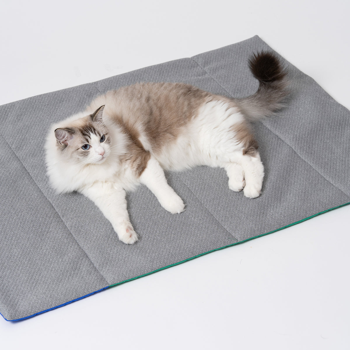 Foldable Two-Tone Picnic Mat - Blue